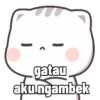 Kucing-Kucingan 10