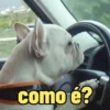 Memes variados 🤪 5