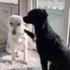 My Daily Life #2 9