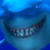 Tubarão sorridente