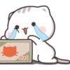 Kucing 1 25
