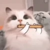 Tiernos Animados 8