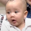 Cipung abubu gemes 6