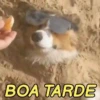 MEIGAS E FOFAS 🥰 5
