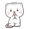 Peach Cat Uwu 14