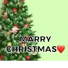 Christmas❤️ 11