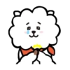 BT21 22