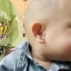 Cipung abubu gemes 13