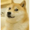 Viral memes 12