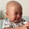 Cipung abubu gemes 23