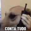 Animadas p/ todo momento 14