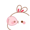 Kelinci gemoi 6