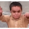 Viral memes 8