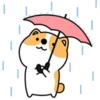 Animated Dog 20