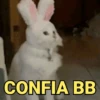 Memes pets 🥰 5