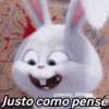 🌈✨ Conejito Snowball ☁️🐰 6