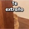 😳 Gato Vergonzoso 🙈 6