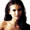 THE VAMPIRE DIARIES 13