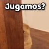😳 Gato Vergonzoso 🙈 26
