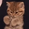 Today I feel alone 15