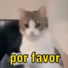 por favor