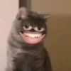 Animated memes 13