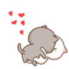 Kucing 1 17