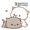 Gomu and peach || cute cat 12