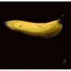 Animated Memes 15