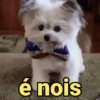 Memes & reações 8
