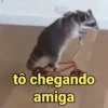 Memes de pets 10
