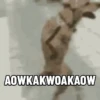 Random.meme V2 14