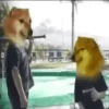 Random MeMe 13