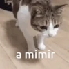 ACORDA PEDRINHO 9