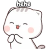 Kitty cute 14