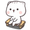 Kucing 1 22