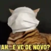GATOS SENDO GATOS 😸 7