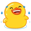 Utya duck 15