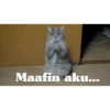 Animasi kucing 9