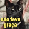MEMES E REAÇÕES🤪❤ 9