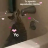 💕😻Gatitos De Amor😻💕 13
