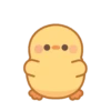 Patinho Animado 14