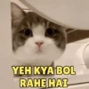 Popular GIFs 8