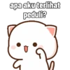 Peach Cat (4) 8
