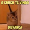 O CRUSH VAI GOSTAR ❤️😍 5