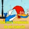 😎Memes Pro Animados Vol.III💥 6