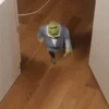 Shrek 13