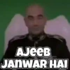 Memes 8