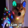 ME REPRESENTAM  14