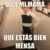🌝Memes Surtidos🐦 9